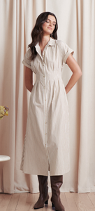 Saf1252007 Colby Striped Dress in Creme Brown