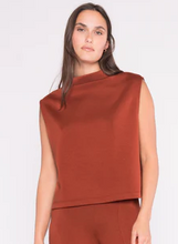 Load image into Gallery viewer, Scuba Cowl Neck Top in Rust
