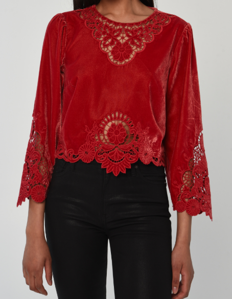 LTL Alina Velvet Top in American Beauty