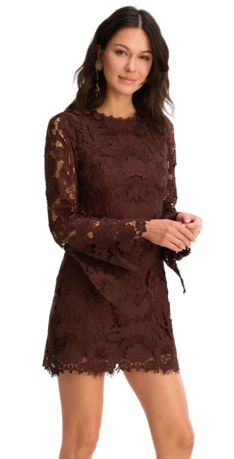 Daisey Dress in Chocolate Brown